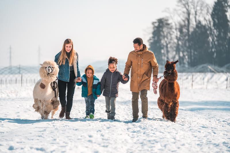 Familie spaziert im Familiencamp mit Lamas