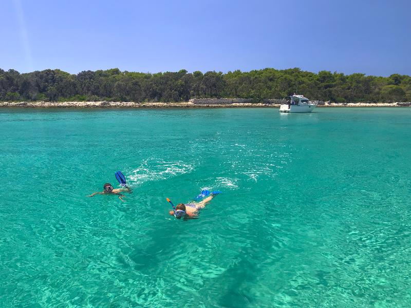 zwei Personen schnorcheln im türkisblauen Wasser bei gutem Wetter auf der Familienreise Kroatien. Im Hintergrund sieht man die Küste mit Bäumen