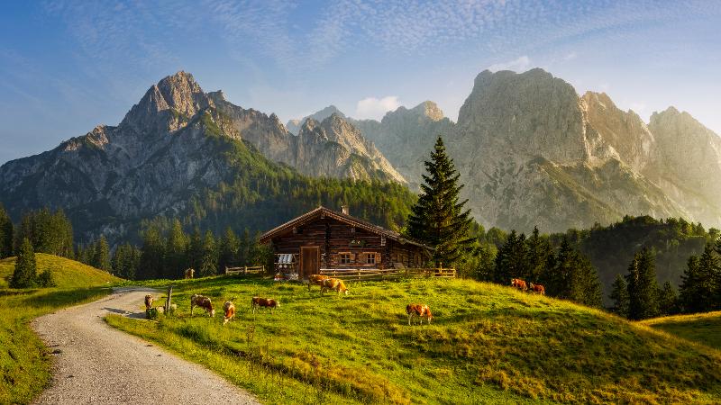 Ein Weg umringt von einer Almwiese mit Holzhaus und Kühen, im Hintergrund Wälder und Berge im Familienurlaub Bayern