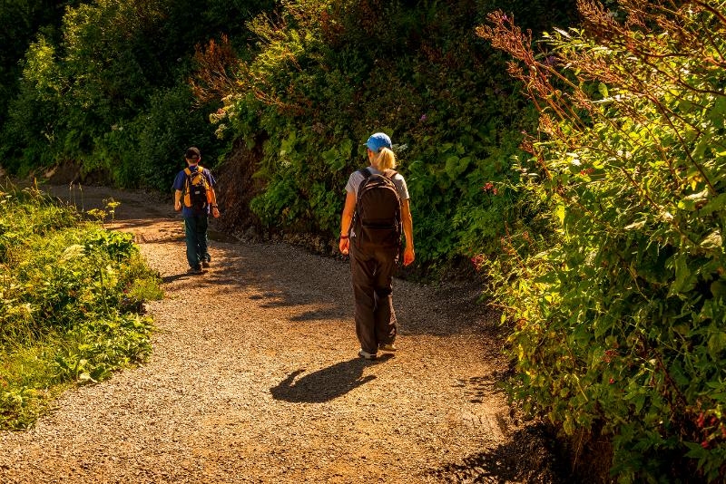 Ein Wanderweg mit zwei Menschen und grünen Pflanzen im Familienurlaub Bayern