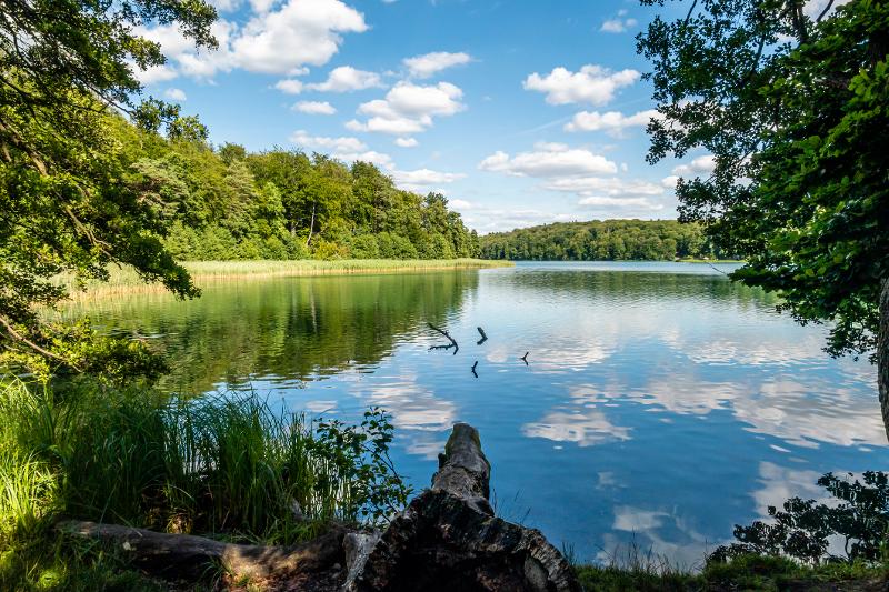 Ein ruhiger See in Brandenburg, umgeben von grünen Wäldern und klarem Himmel.