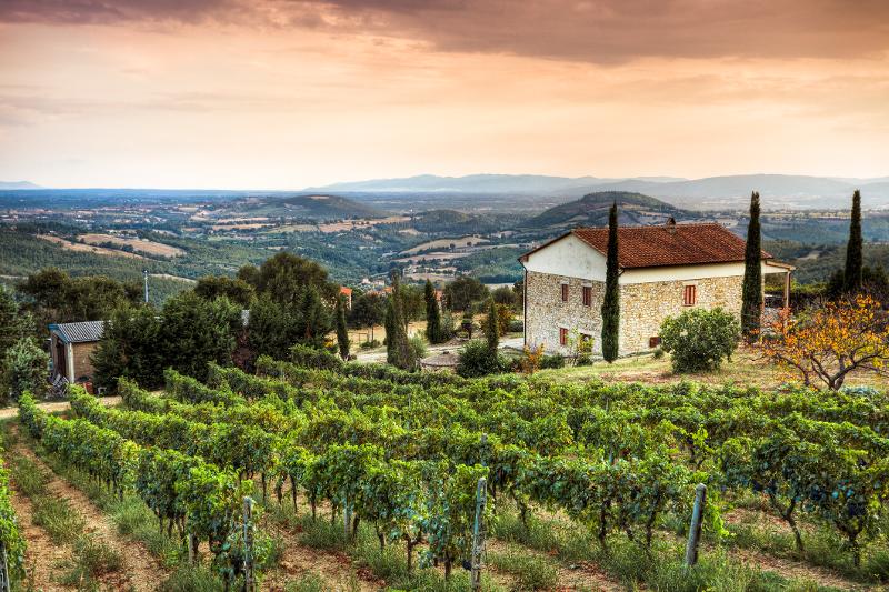  Rustikales Haus in der Toskana umgeben von Weinbergen im Familienurlaub Italien Ferienhaus