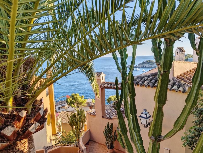 Idyllische Aussicht im Familienurlaub Mallorca 5 Sterne