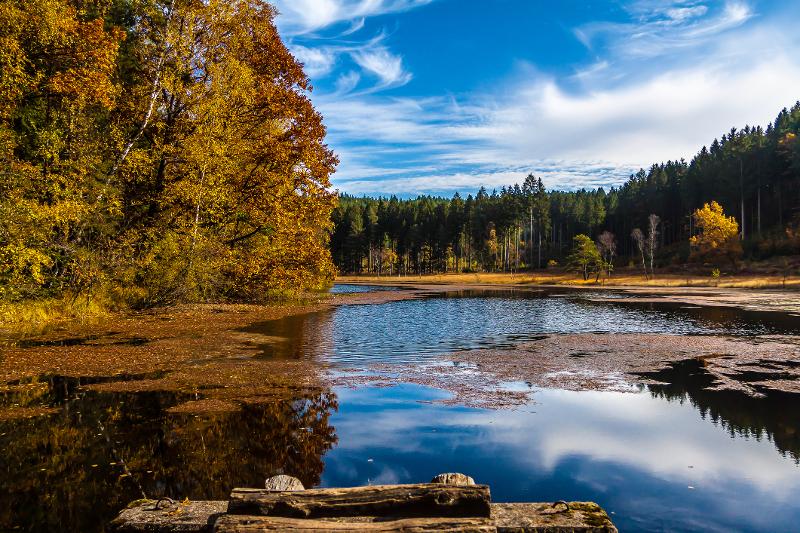Die Pfalz im Herbst im Familienurlaub Pfalz spielt