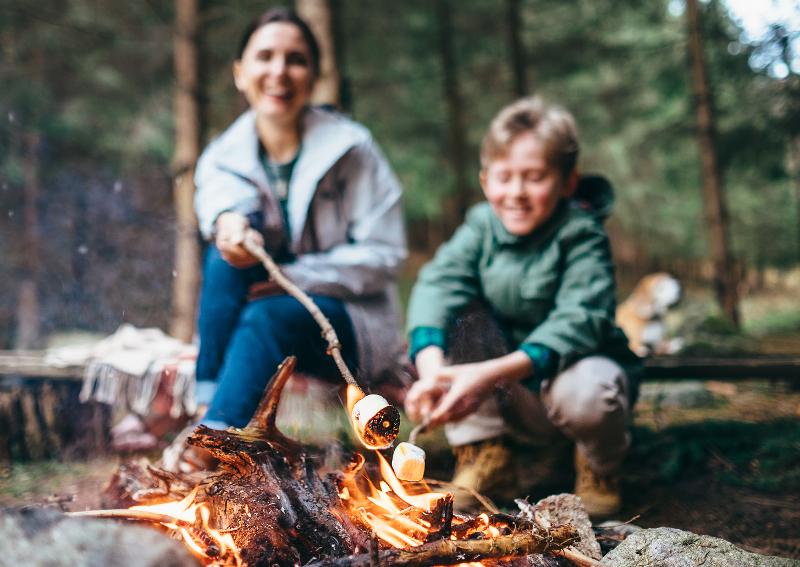 Eine Familie grillt Marshmallows im Familienurlaub Pfalz