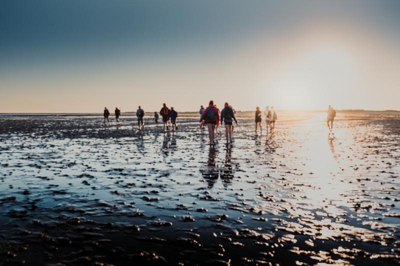  Menschen spazieren am Wattenmeer entlang im Familienurlaub Schleswig-Holstein