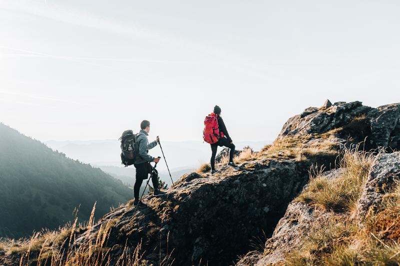  Wanderweg führt durch einen dicht bewaldeten Bereich im Familienurlaub Schwarzwald