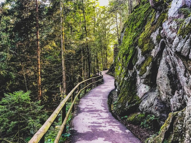 Zwei Wanderer mit Rucksäcken und Wanderstöcken im Familienurlaub Schwarzwald 