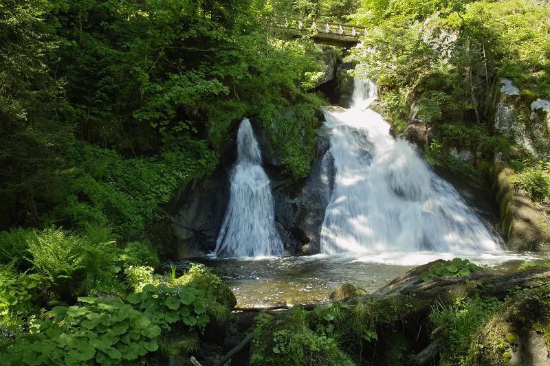 Ein spiegelglatter See umgeben von dicht bewaldeten Hügeln im Familienurlaub Schwarzwald