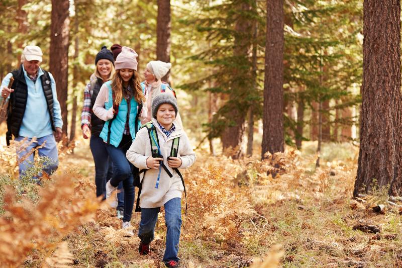 Familie spaziert im herbstferien Familienurlaub günstig durch einen Wald