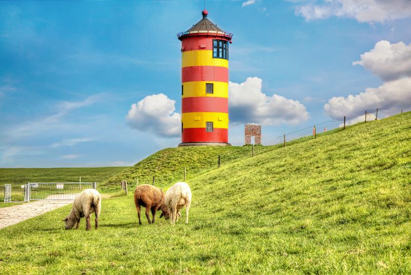 Ein Leuchtturm mit gelb, roten Streifen und eine Wiese, auf der Schafe grasen. Die Sonne scheint und es gibt vereinzelt Wolken im Kurzurlaub mit Kindern Niedersachsen