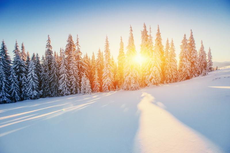 Sonne hinter Tannen im Schnee im Skiurlaub Österreich mit Kindern