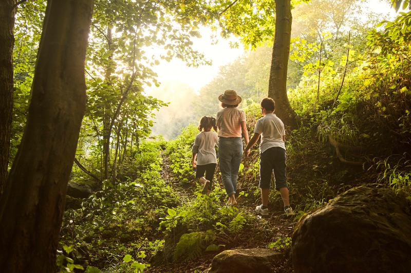 Kinder gehen durch den Wald im ihrem Sommerurlaub