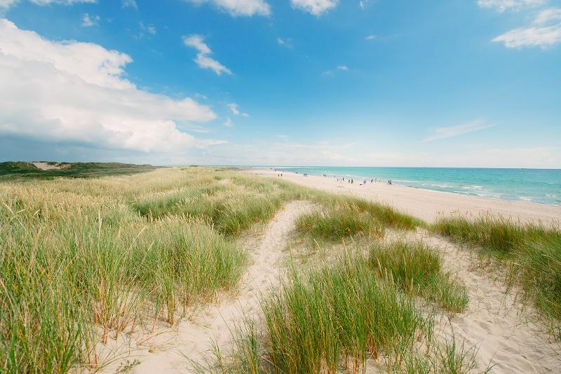Ein Anblick auf den Strand