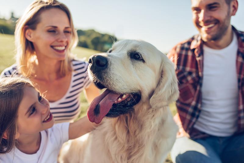 Foto einer lachenden Familie und ihrem Golden Retriever