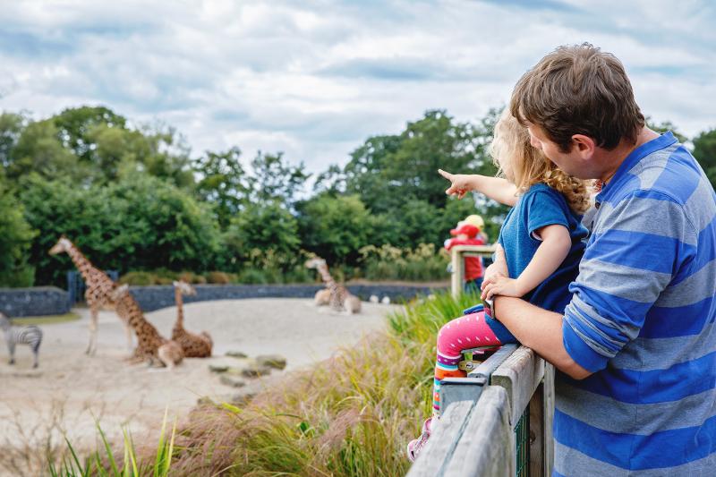 Elternteil und Kind schauen sich gemeinsam Tiere im Zoo im Urlaub mit Kindern in Deutschland an