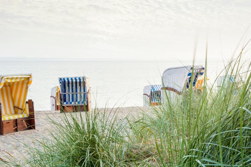 Strandkörbe mit gelben und blauen Streifen, die im Urlaub mit Kindern Holland am Meer am Strand verteilt sind. Außerdem erkennt man Gräser, Sand und das Meer im Hintergrund