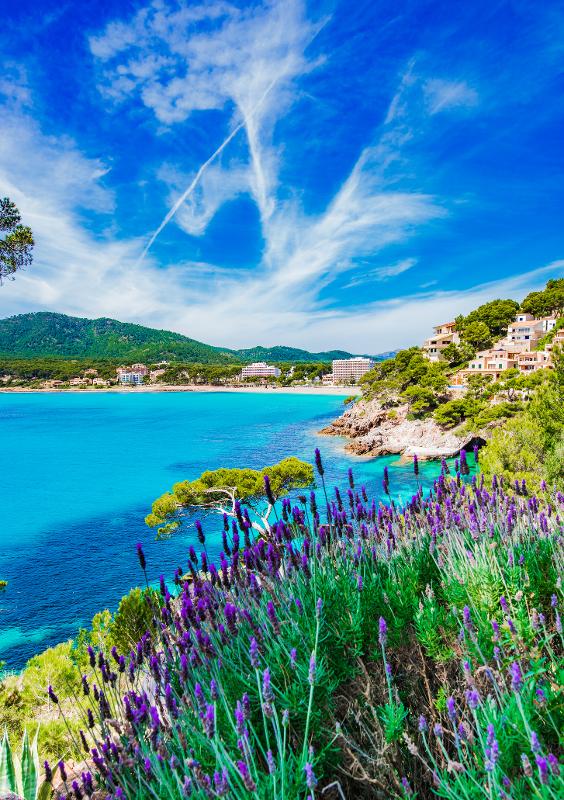 Farbenfrohe Aufnahme der Natur im Urlaub mit Kindern Mallorca