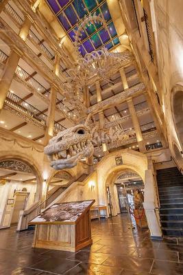 Dinosaurier-Skelett im Eingangsbereich des The Museum Hotel im Europa Park im Familienurlaub Schwarzwald