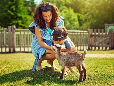 Mutter und Kind streicheln eine Ziege im Center Parcs im Familienurlaub Frankreich