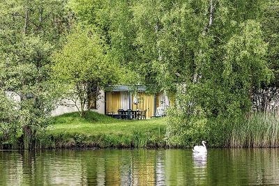 Schwan im Wasser vor einem Bungalow im Center Parcs beim Familienurlaub Niederlande