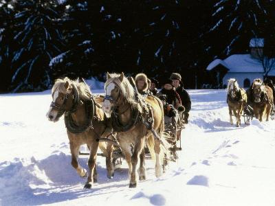 Pferde reiten im Schnee mit Personen in der Kutsche im Familienurlaub Deutschland
