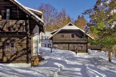 Holzhäuser umgeben von Schnee und Bäumen im Familienurlaub Österreich