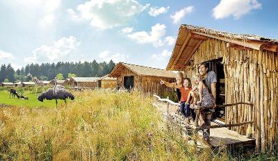 Strauße und Giraffen neben Bungalows mit einer Familie im Familienurlaub Niedersachsen