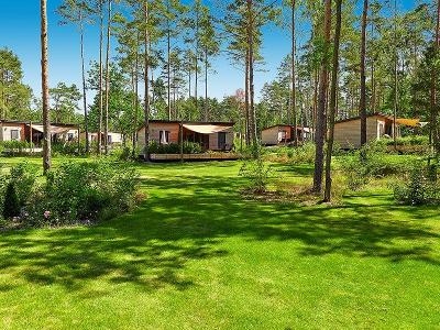 Moderne Bungalows umgeben von großen Kiefern und Wiese im Tropical Islands im Familienurlaub Brandenburg