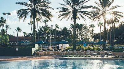 Pool mit Palmen und Sonne im Familienurlaub Florida