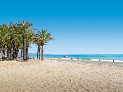 Palmen am hellen Sandstran im Familienurlaub Spanien