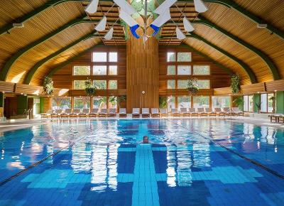 Hallenbad mit Holzdecke und einen Schwimmer im Familienurlaub Ungarn