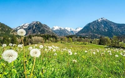 Familienurlaub im Allgäu günstig 2025