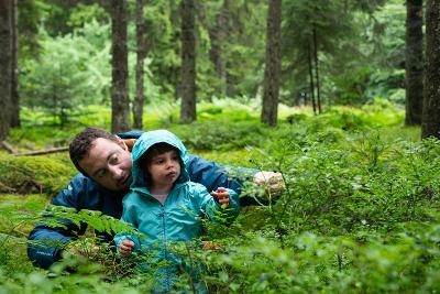 Familienreisen Schwarzwald 2025