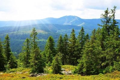 Familienurlaub Bayerischer Wald 2025