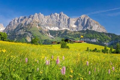 Familienurlaub Ellmau 2024