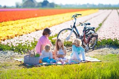 Familienurlaub Holland günstig