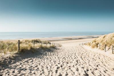 Familienurlaub Holland am Meer