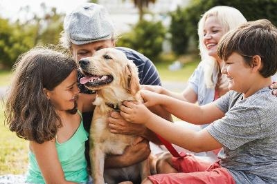 Familienurlaub mit Hund in Holland