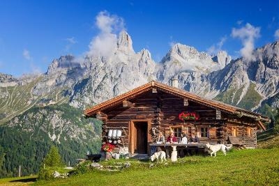Familienurlaub Österreich mit Hund 2024