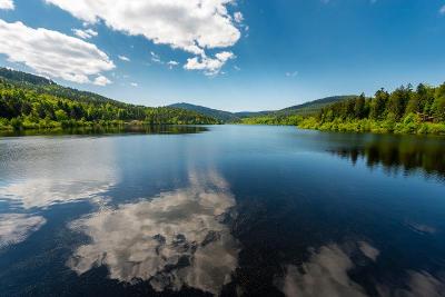 Familienurlaub Schwarzwald mit Halbpension 2024