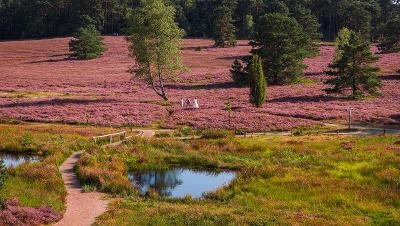 Kinderurlaub Lüneburger Heide 2025