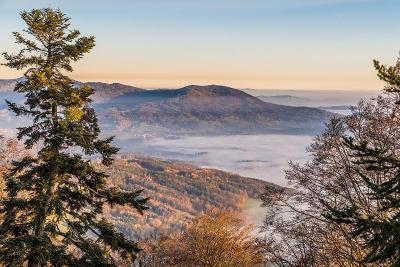 Reisen mit Kindern Bayerischer Wald 2025