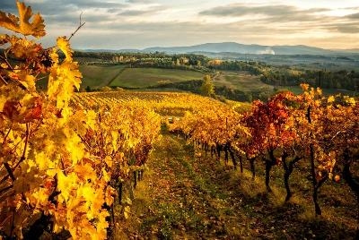 Reisen mit Kindern Herbstferien 2025