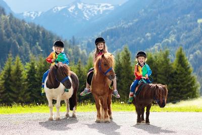 Urlaub im Bayerischen Wald mit Kindern Bauernhof 2025