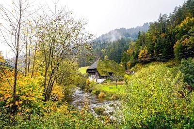 Urlaub mit Kindern Schwarzwald Bauernhof 2025
