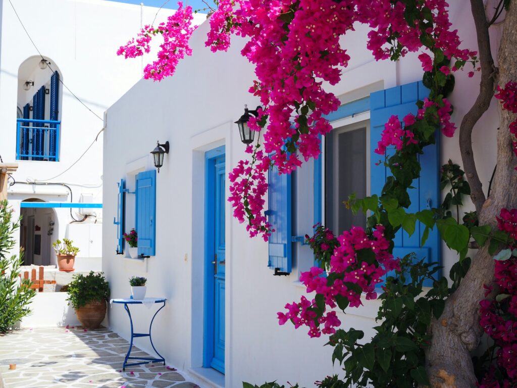 ein weißes Haus mit Blauer Tür und Fensterlehnen und einem Baum mit Pinken Blumen im Schatten. Im hintergrund erkennt man ein weiteres Haus im gleichen Stil im Sonnenschein im Urlaub mit erwachsenen Kindern