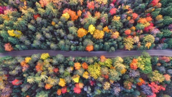 Entdecke in diesem Artikel, wo man am besten seine Herbstferien seinen Familienurlaub verbringen kann.