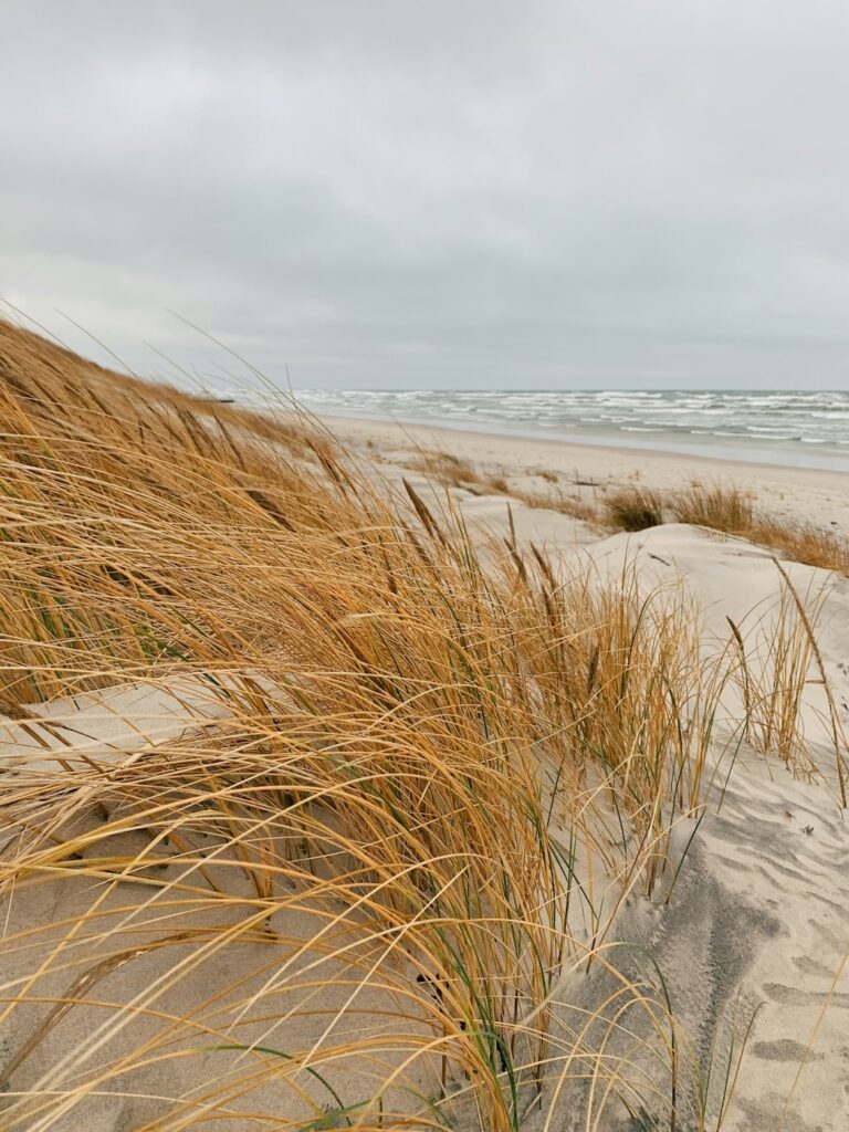 Urlaub mit erwachsenen Kindern - wohin? Sandstrand und Dünen am Meer bei bedecktem Wetter