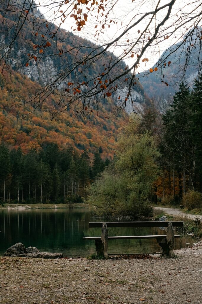 Herbstferien Urlaub mit Kindern wohin?Wanderweg in Österreich in den Herbstferien